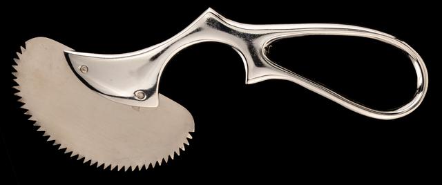 T0449 Curved Bone Saw