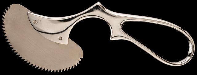 T0449 Curved Bone Saw