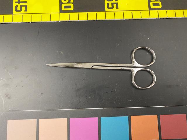 T0473 Surgical Scissors