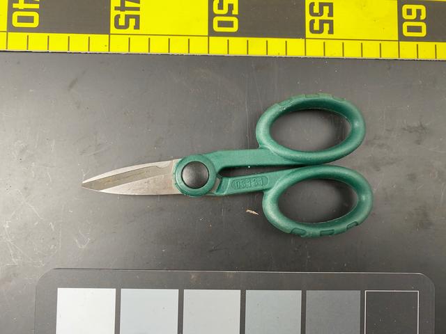 T0765 Small Shop Scissors