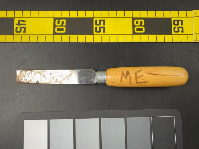 T0909 Putty Knife