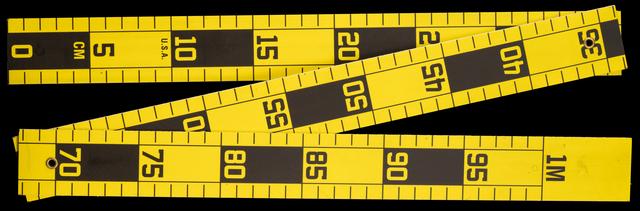 T0931 Crime Scene Ruler