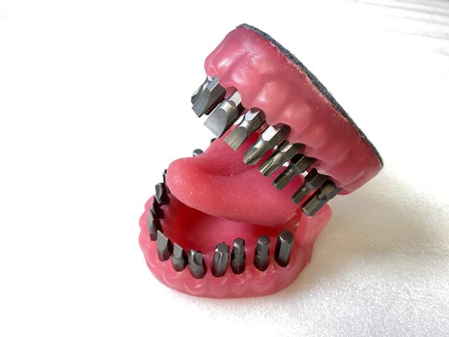 T1007 Mouth Bit Holder