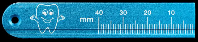 T1113 Larger Dental Ruler